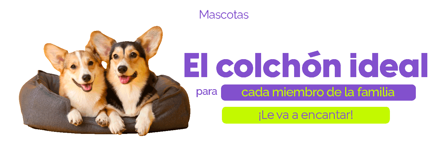 Banner El colchón Ideal para toda la familia